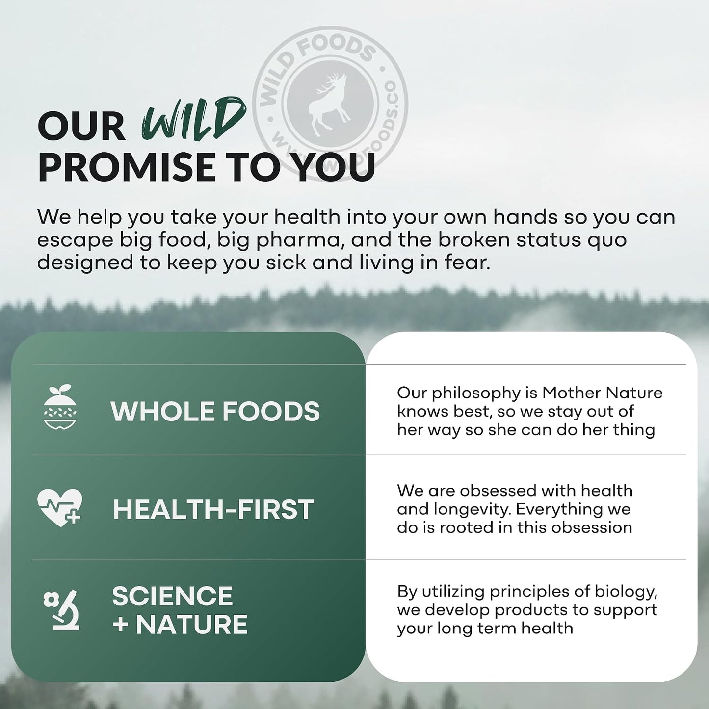 Wild Foods 100% Creatine Monohydrate Powder Packets - 20 Packets - for Brain & Performance – Pure Creatine Travel Packs for Men & Women, USA Made– 5g Creatina Per Serving