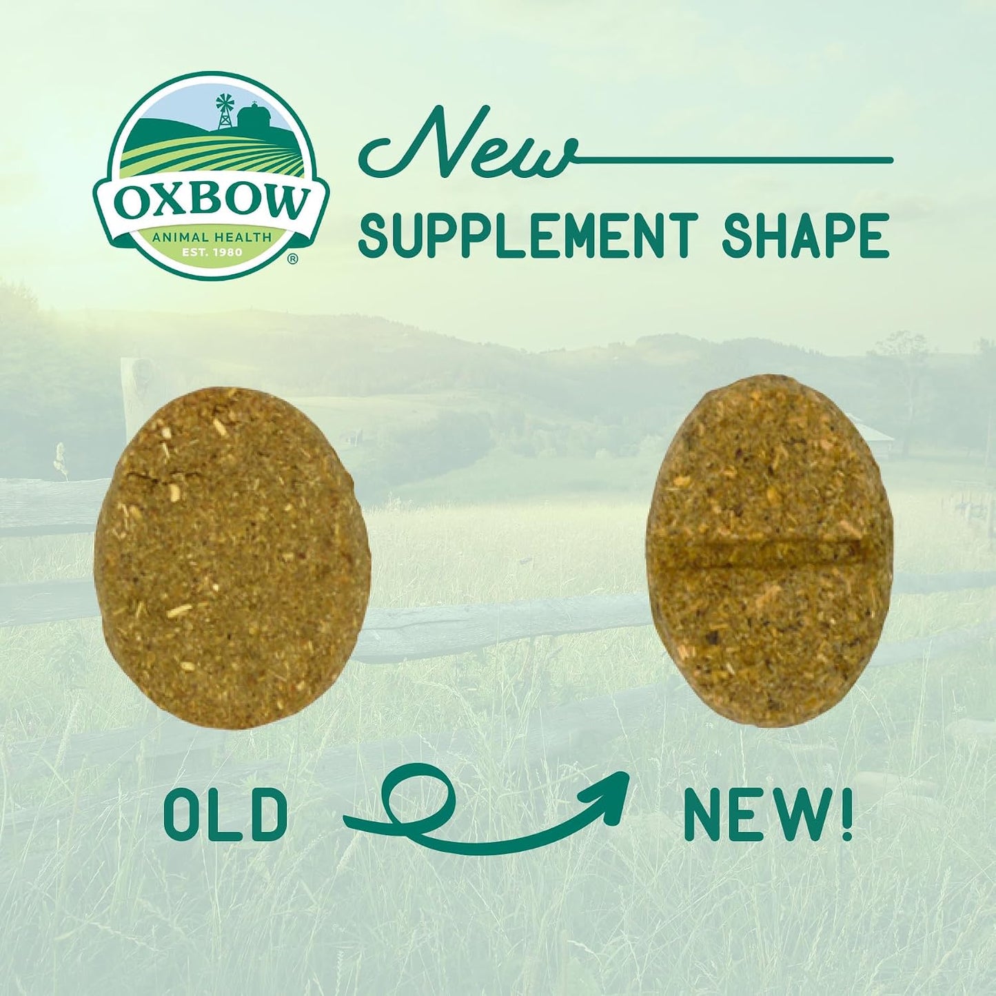 Oxbow Natural Science Joint Supplement for Rabbits & Guinea Pigs, 4.2 oz | Healthy Cat Treats, Natural Feline Snacks, Protein Rich, Crunchy Biscuits, Indoor Cats, Kitten Rewards, Made in USA