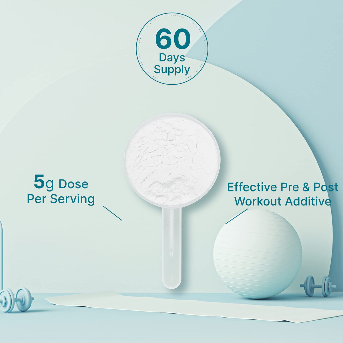 DEAL SUPPLEMENT Instant Creatine Monohydrate Powder, 5g Per Serving – 60 Servings | Micronized, Unflavored, Fast Absorbing Formula - PrimeBioHealth - canada supplements