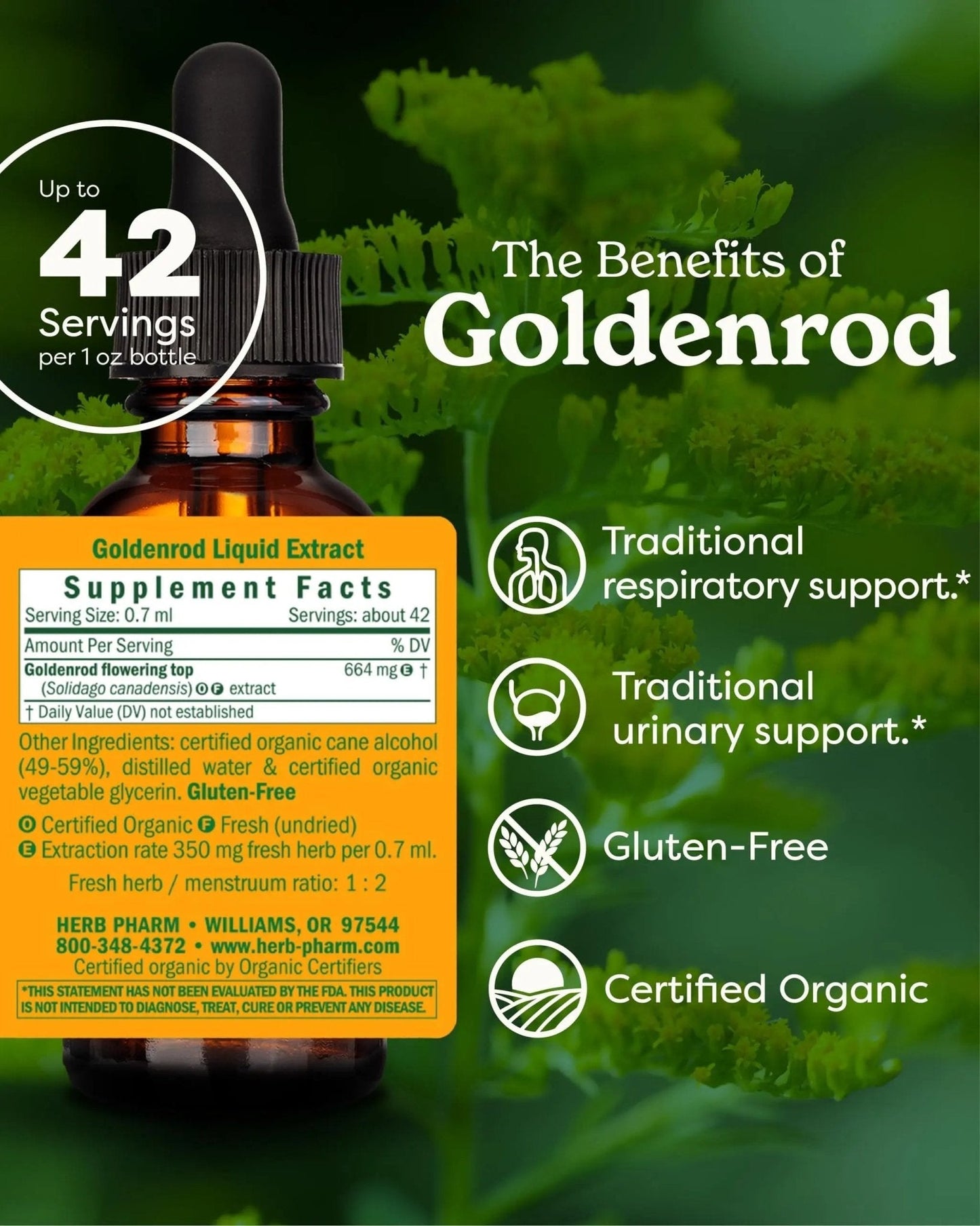 Herb Pharm Certified Organic Goldenrod Liquid Extract for Urinary System Support, 1 Fl Oz (Pack of 1) - PrimeBioHealth - canada supplements