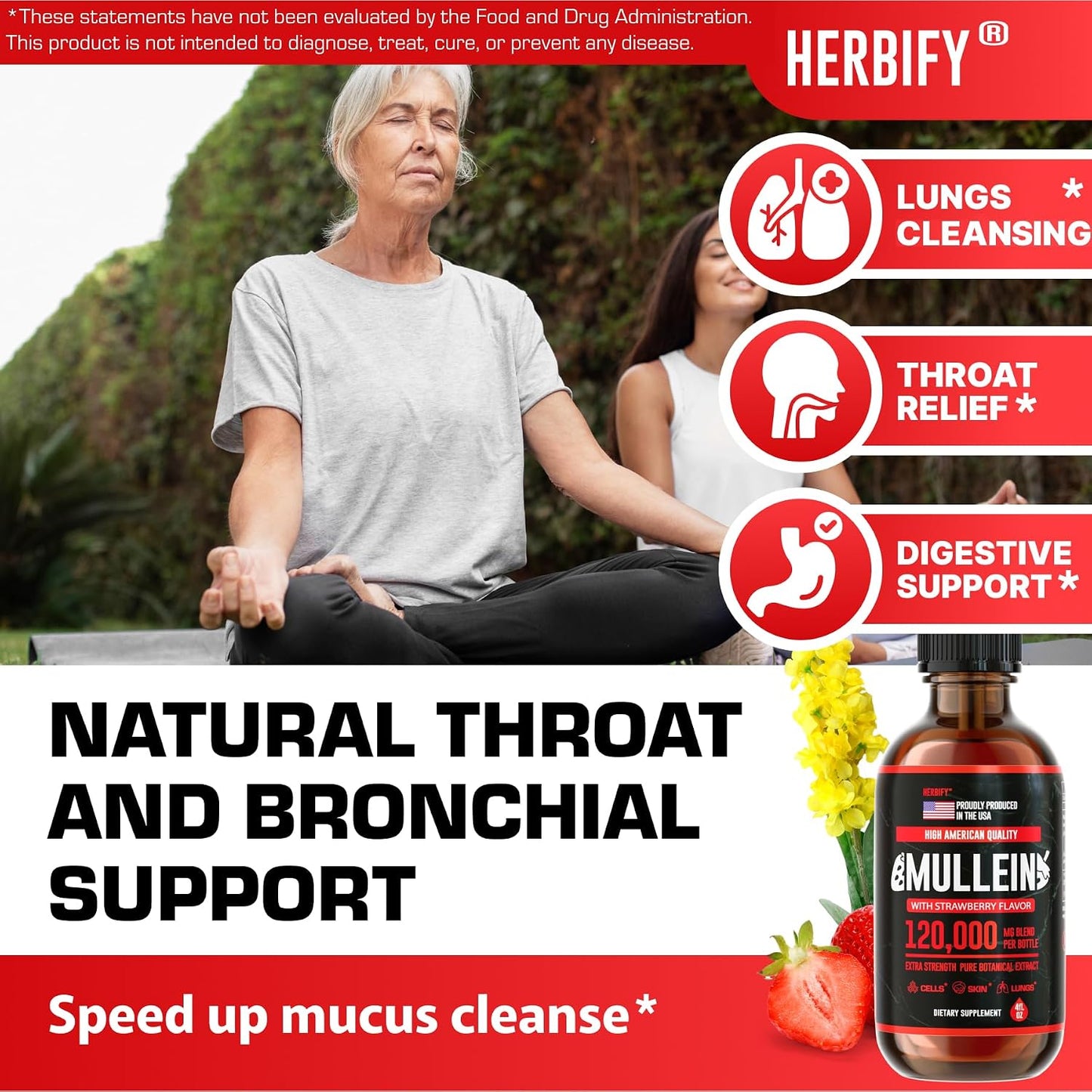 HERBIFY Bundle - Lions Mane & Mullein 4 Fl Oz Strawberry Drops - Supplement for Memory, Focus & Clarity & Immune Support, Lung Cleanse and Bronchial Support - PrimeBioHealth - canada supplements