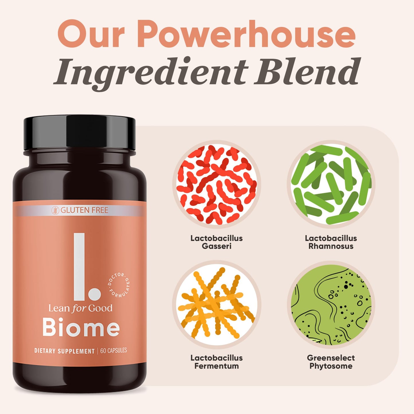 LEANFORGOOD Biome, 9-Strain Probiotic Formula, Supports a Balanced Gut Microbiome, Powerful Gut Probiotics - PrimeBioHealth - canada supplements
