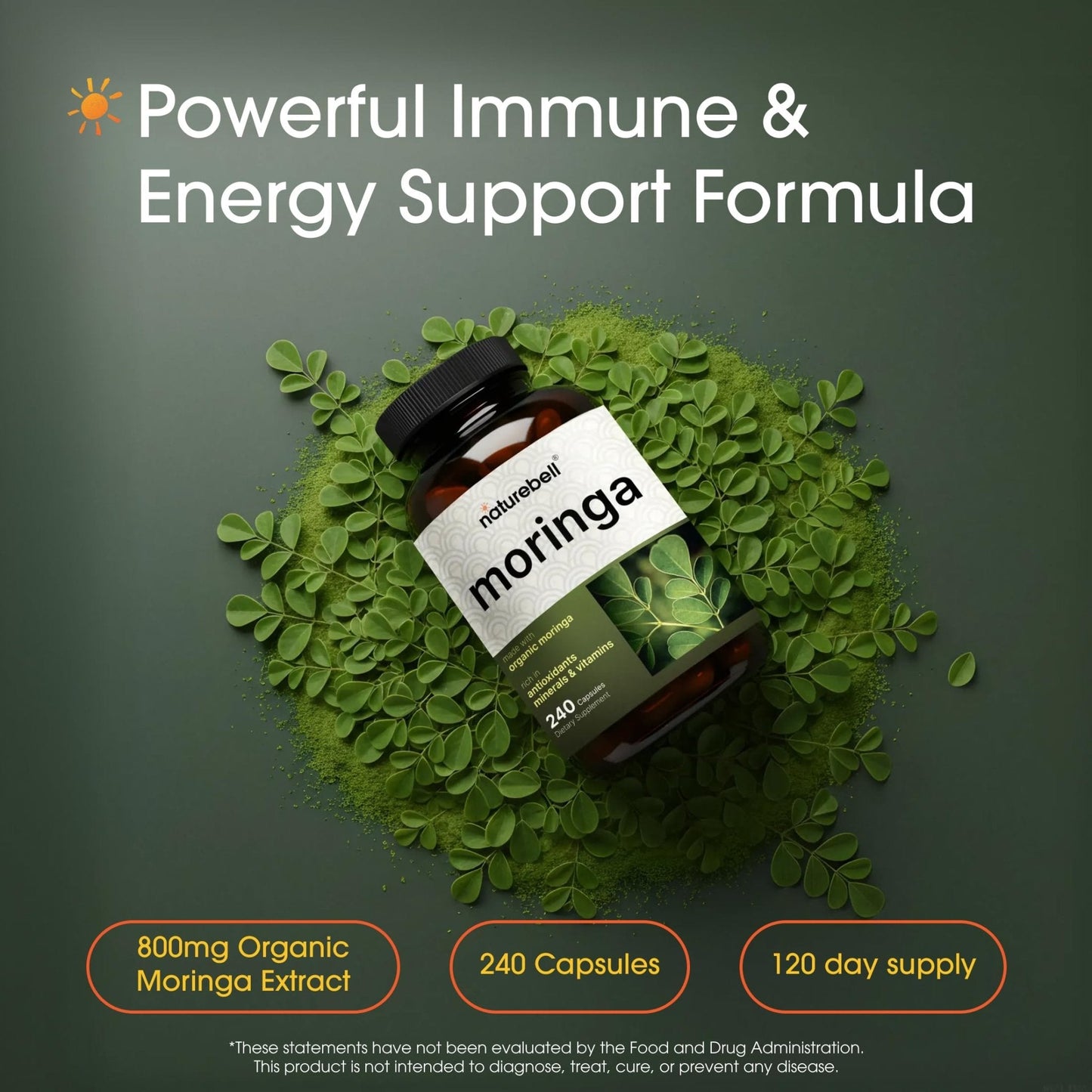 NatureBell Moringa - 240 Capsules - Organic Moringa for Immune, Energy & Skin Health Support - Green Superfood Properties - PrimeBioHealth - canada supplements