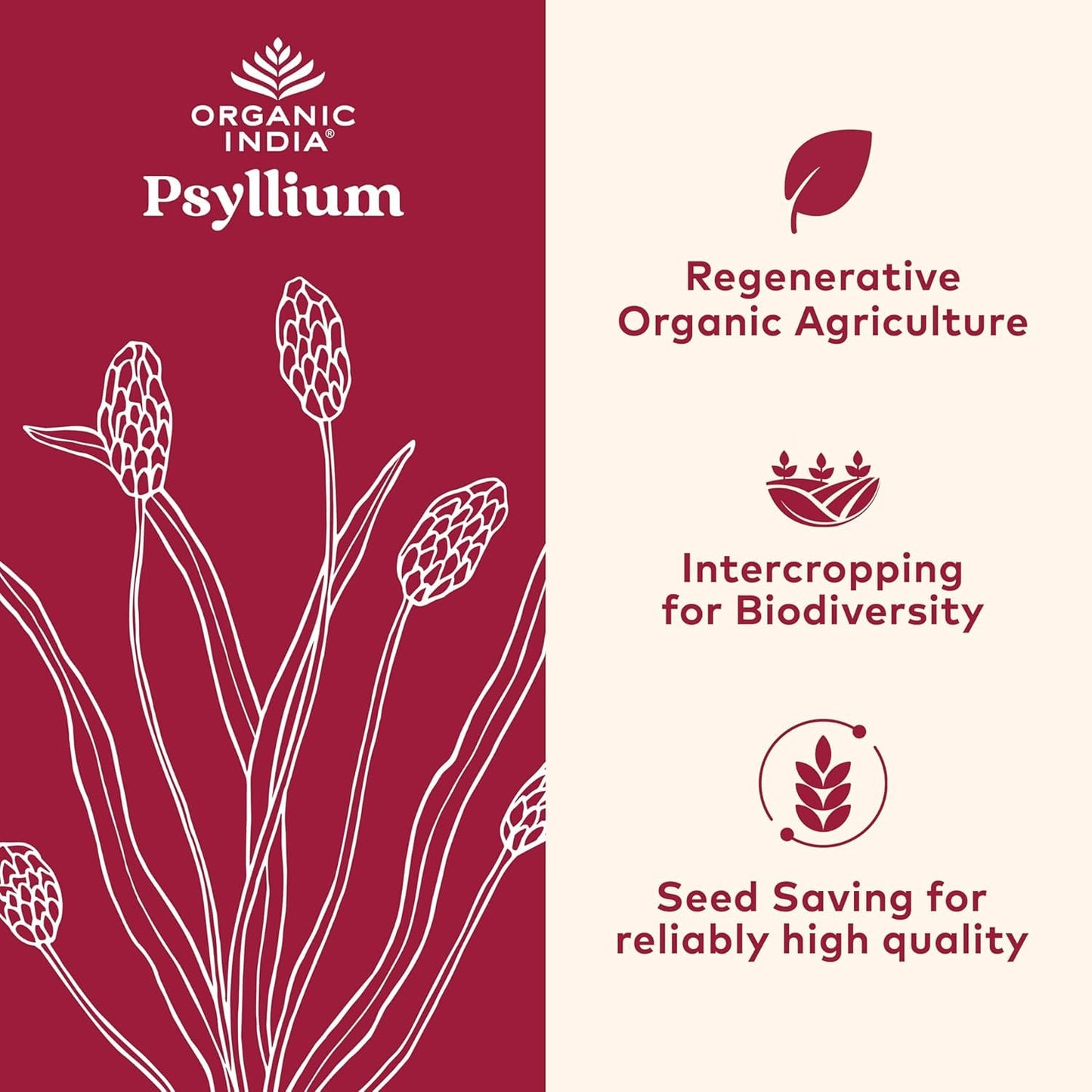 ORGANIC INDIA Psyllium Herbal Powder - Whole Husk Fiber, Vegan, Gluten-Free, USDA Certified Organic, Non-GM - PrimeBioHealth - canada supplements