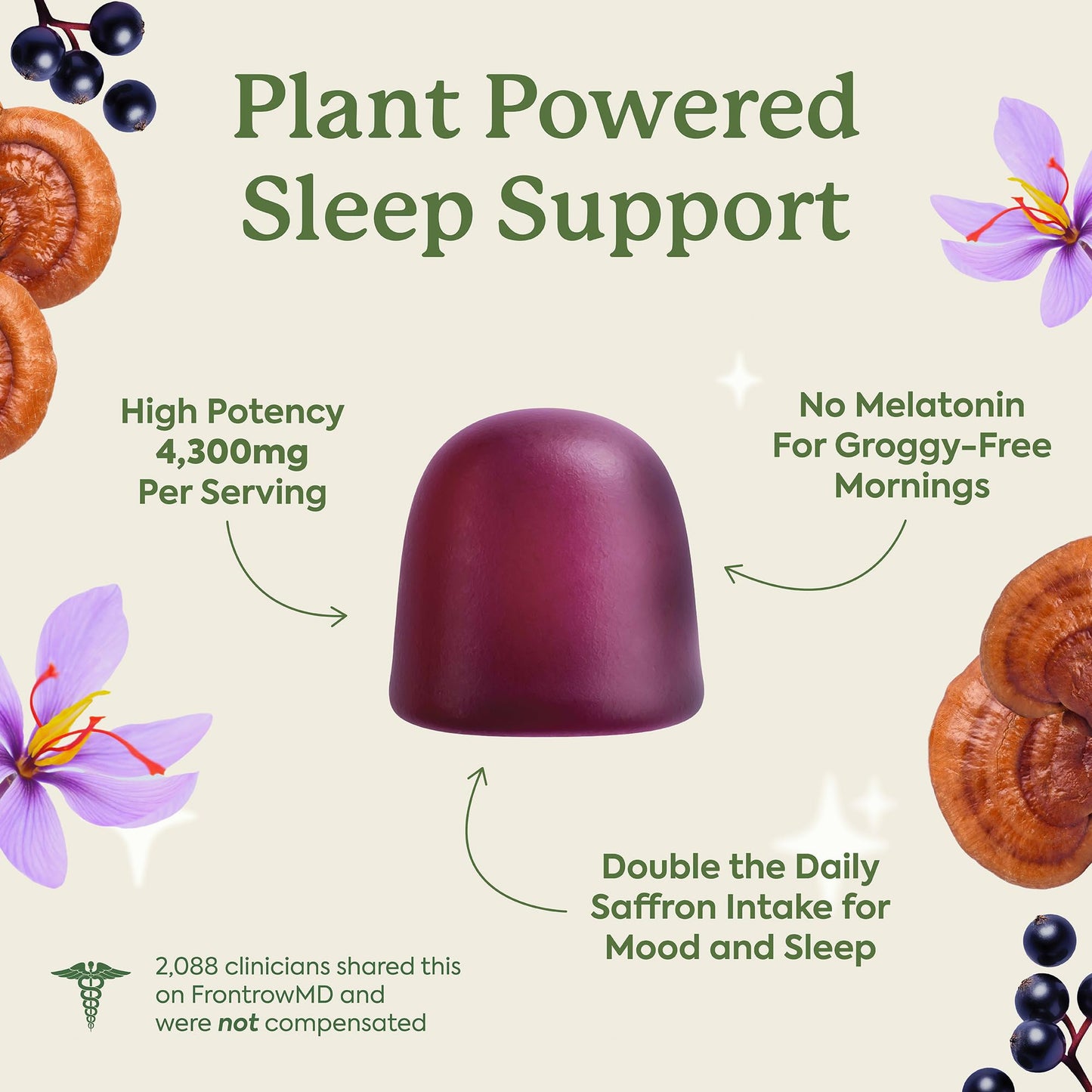 Plant People WonderSleep Mushroom Gummies Supplement for Sleep, No Melatonin with Reishi Super Mushrooms, Wild Elderberry Flavor, Sugar-Free (60 Count) - PrimeBioHealth - canada supplements