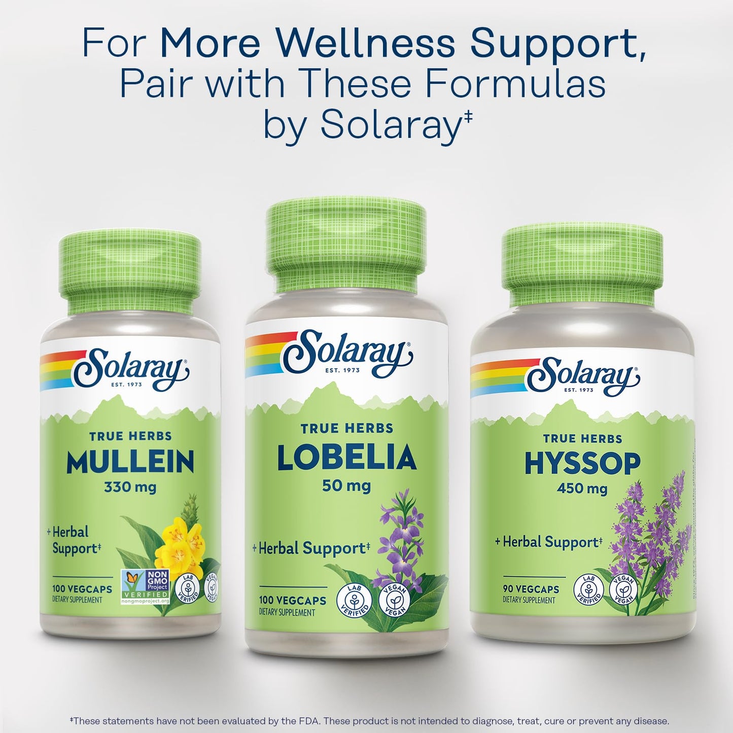 SOLARAY Mullein Leaf 330 mg - Soothing Herbal Support - Mullein Capsules Traditionally Used to Support Health and Wellness - Vegan, Non-GMO, Lab Verified, 60-Day Guarantee, 100 Servings, 100 VegCaps - PrimeBioHealth - canada supplements