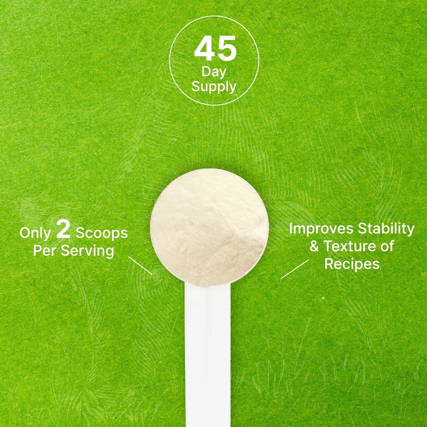 Unflavored Beef Gelatin Powder, 1lb – Grass Fed & Pasture Raised Bovine – Natural Thickener & Stabilizer for Cooking & Baking – High Collagen Protein Source – Non-GMO, Keto Friendly - PrimeBioHealth - canada supplements