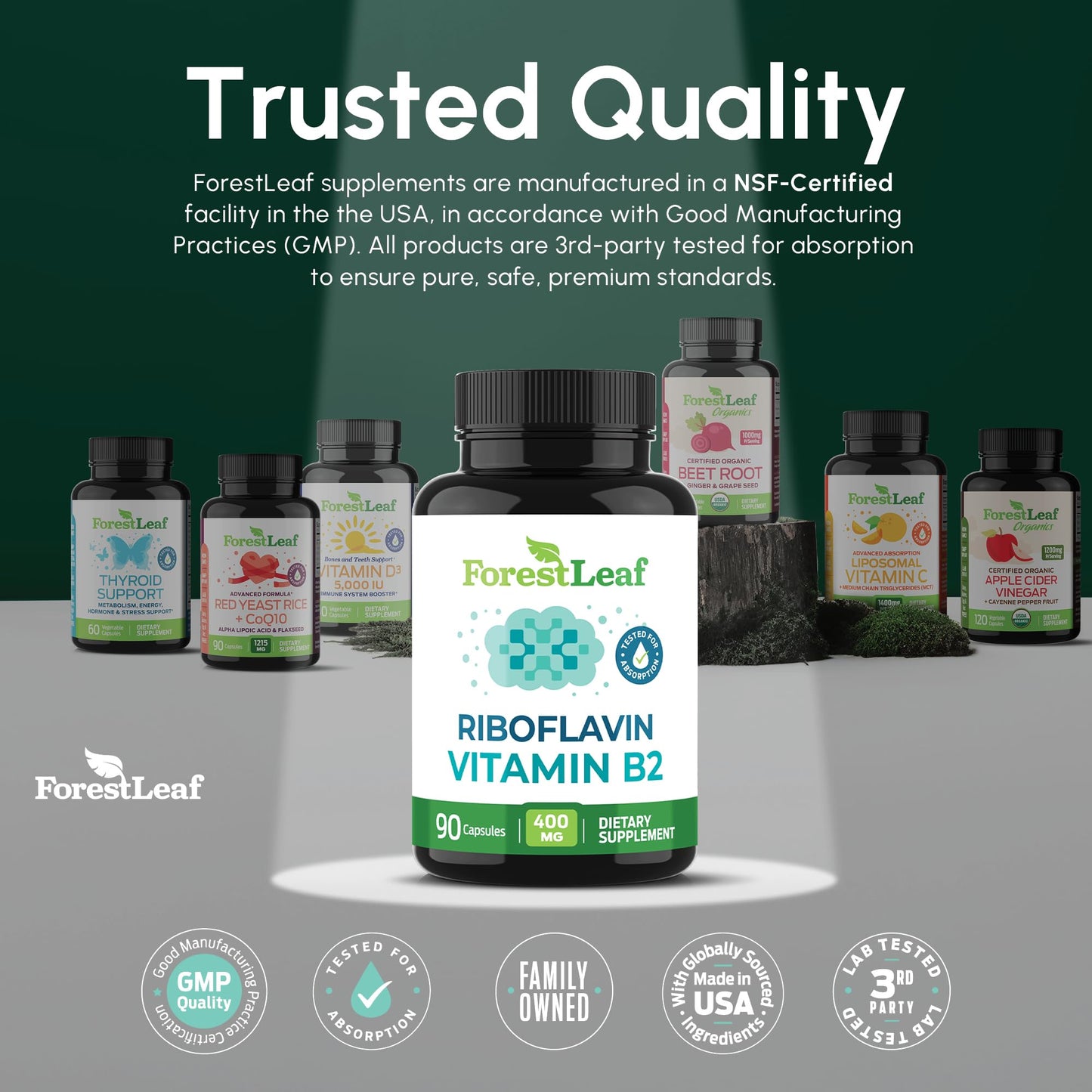 Vitamin B2 Riboflavin 400mg - Energy, Skin & Cellular Health Supplement - Nervous System Support - Vitamin B 2 Vit B - Non-GMO & Gluten Free - B2 Vitamin 400mg - PrimeBioHealth - canada supplements