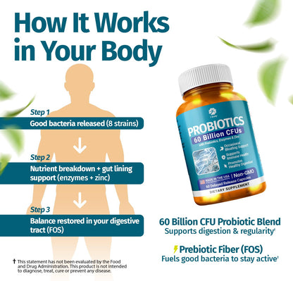 1 Body Probiotic 60 Billion for Men & Women, Gut Health Support with Prebiotics, Digestive Enzymes, Zinc & L-Glutamine, Non-GMO, 60 Vegan Capsules - PrimeBioHealth - canada supplements