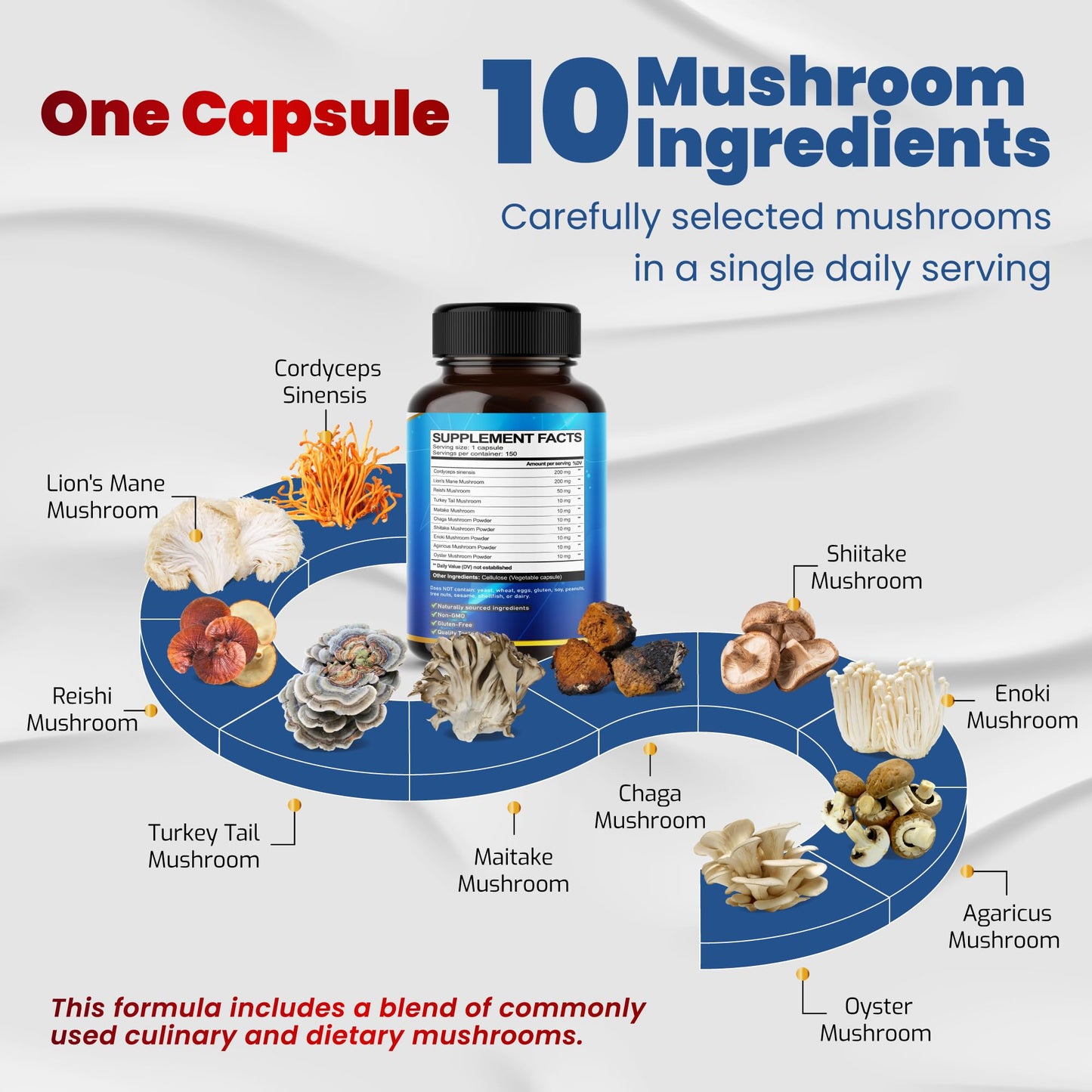 10 in 1 High Strength Mushroom Supplement - Lions Mane, Cordyceps, Reishi - Brain Supplements for Memory and Focus ** 5-Month Supply - PrimeBioHealth - canada supplements