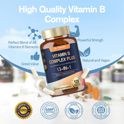 13-in-1 Vitamin B Complex Plus with Vitamin B1, B2, B3 (Niacinamide), B4, B5, B6, B7 (Biotin), B8 (Inositol), B9 (Folate), B12, C, D3, K2 - Energy, Nerve, - PrimeBioHealth - canada supplements