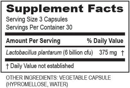 Transformation The Genesis of Good Health Enzymes Plantadophilus Natural Plant-Based Probiotics Supplement, Practitioner Recommended, Non-GMO, for Digestive Health, Immune Support, Gut Balance, 90