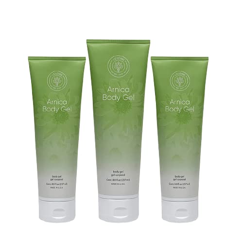 L’EUDINE Arnica Gel – Pack of 3 – Extra Strength for Bruise Relief, Wonder-Plant for Treating Muscle Soreness, Bruising, and Swelling - Fast Absorbing, Natural Formula L'eudineBuy Supplements Australia