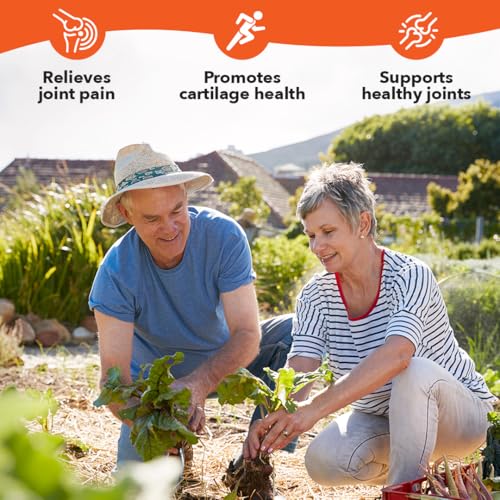 LifeSeasons Mobili-T - Joint Support Supplement - Reduces Aches & Discomforts - Increase Range of Motion - Rebuild Tissue & Cartilage - MSM Chondroitin Collagen Glucosamine & Turmeric - 208 Capsules LifeSeasonsBuy Supplements Australia