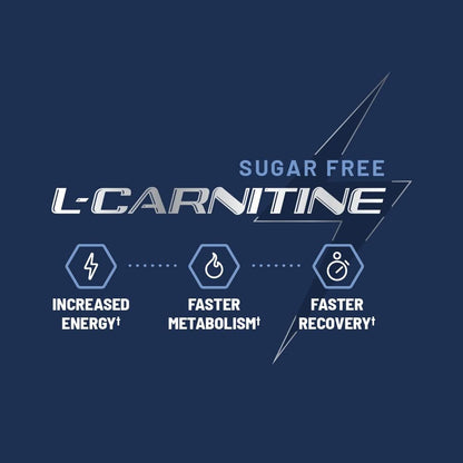 Snap Supplements L-Carnitine Tartrate, 60 Blueberry Sugar-Free Gummies | Amino Acid Supplement for Healthy Exercise Recovery, Metabolism, & Energy, Vegan, 30-Day Supply