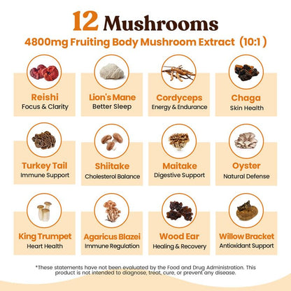 Venture Pal Mushroom Coffee, 12 Mushrooms, Focus & Digestion, 40 Servings | 12 Adaptogenic Mushrooms with Lion's Mane, Cordyceps, Reishi, Turkey Tail, Ashwagandha & Probiotics, Low Caffeine & Calories