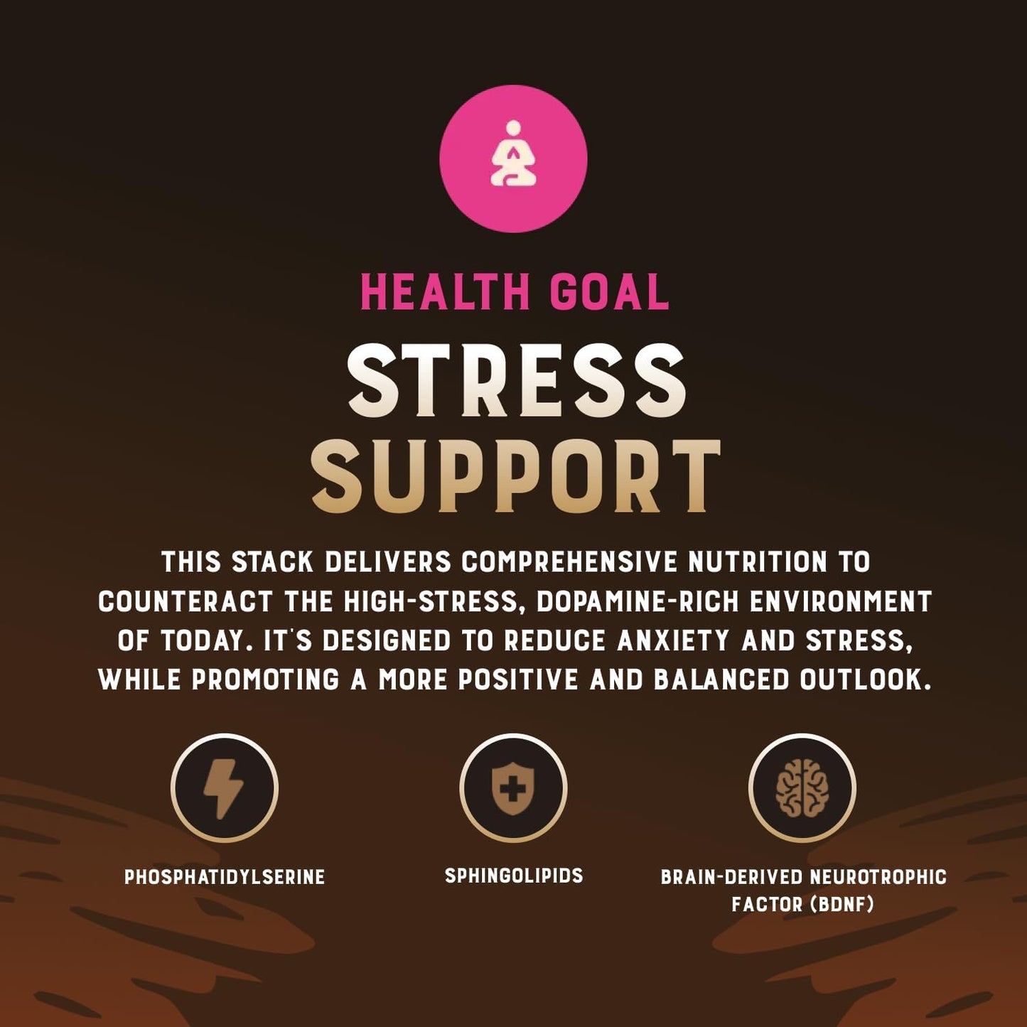 Stress Stack – Mood, Memory, Brain, Bone Marrow, Liver, and Immune Support Supplements for Cognitive and Overall Vitality