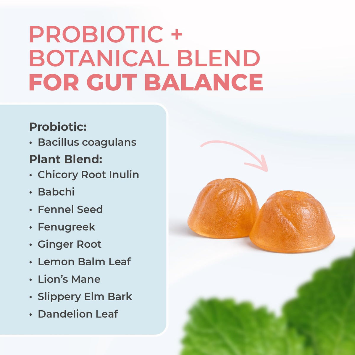 Nature’s NutriWave PrimeBiome Probiotic Gummies – Plant-Based Blend with Inulin, Lion’s Mane, Ginger & More– Non-GMO, No Stimulants, GMP Certified – 30 Gummies, 6 Month Supply Nature’s NutriWaveBuy Supplements Australia