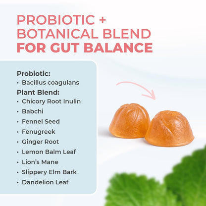 Nature’s NutriWave PrimeBiome Probiotic Gummies – Plant-Based Blend with Inulin, Lion’s Mane, Ginger & More– Non-GMO, No Stimulants, GMP Certified – 30 Gummies, 6 Month Supply Nature’s NutriWaveBuy Supplements Australia