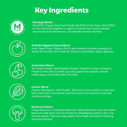 L'Evate You Vitality Daily Greens Powder (28 Servings) 30 Superfoods, 9 Greens - for a Cellular Energy Boost, Powered by M-Charge Complex for All Day Energy (Original) Steve Harvey's L'Evate You buy supplements Au