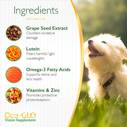 Vision Supplement for Medium to Large Dogs, 11+ lb, 90 Count | Veterinarian-Formulated Supplement Specifically Supports Eye Health; Unflavored & Easy to Give
