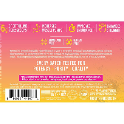RAW Pump Stim Free Pre Workout (Watermelon) - Non-Stimulant Pre Workout Supplement Powder Nitric Oxide Booster - Pre Workout Supplements Drink for During Workout - 40 Servings