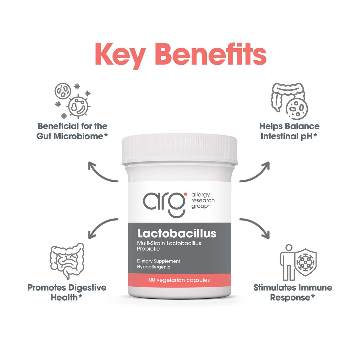 Allergy Research Group Lactobacillus Supplement - Probiotics for Men & Women, Digestive Health, Gut Health, Vegetarian Capsules - 100 Count Allergy Research GroupBuy Supplements Australia