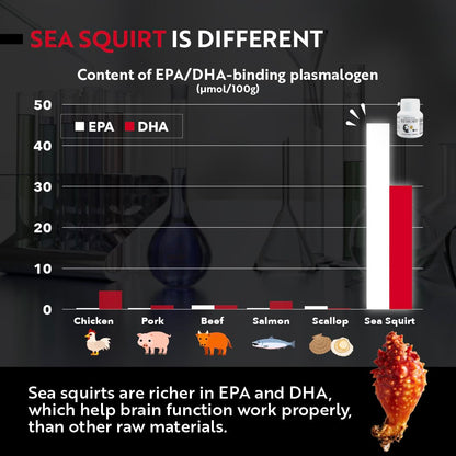 REMORY Plasmalogen Sea Squirt Supplement - Brain Health Supplement - 30 Days Supply REMORY buy supplements Au