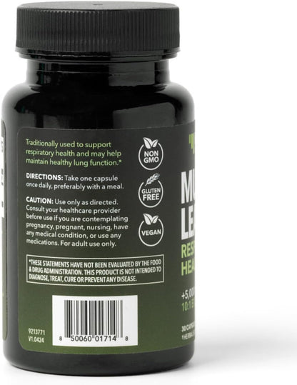 500mg Mullein Extract for Lung Support and Respiratory Health, 30 Count | Mullein Leaf Capsules for Respiratory Health, Vegan, Non-GMO Herbal Supplement for Overall Daily Wellness, 1 Month Supply