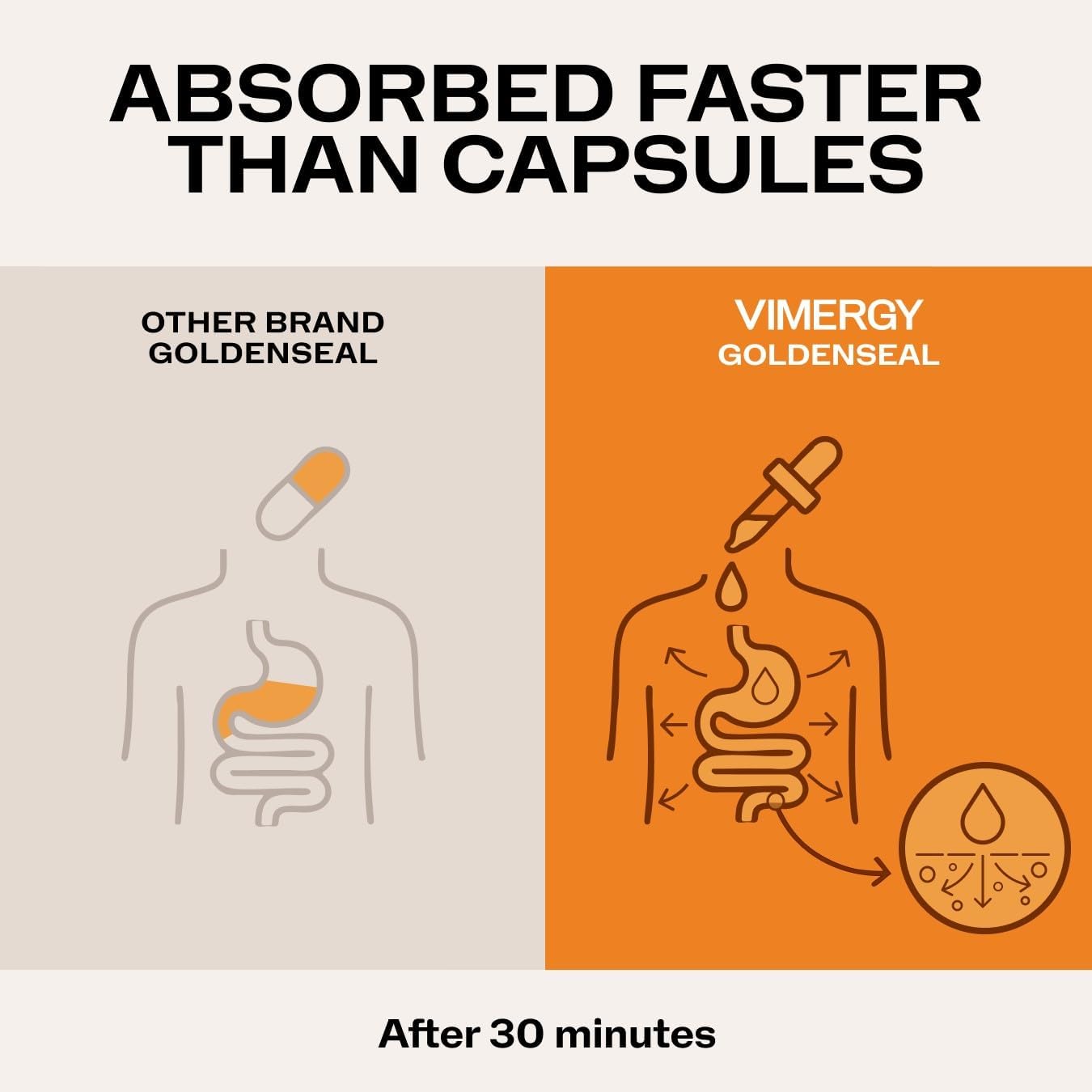 Vimergy USDA Organic Goldenseal Supplement – 57 2mL (2 Droppers or 48-54 Drops) Servings (200mg Extract Per Serving). Vegan, Alcohol-Free Golden Seal herb Drops Great for Tea (115 mL)