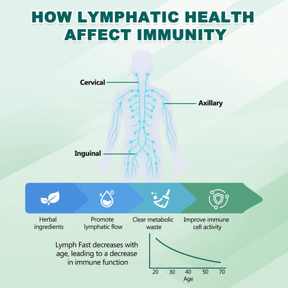 BINMLXG Liposomal Lymphatic Drainage Drops, 8-Herb Formula with Echinacea, Elderberry, Burdock Root Blend, for Lymphatic Drainage, Immune Support, Cleanse & Detox, 2 Fl Oz BINMLXG buy supplements Au