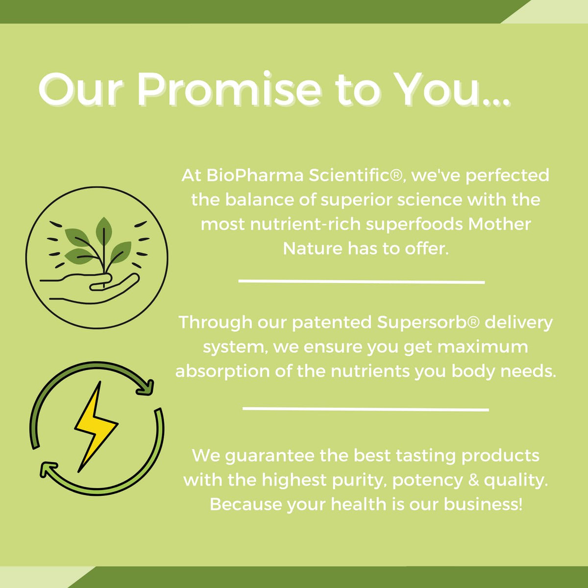 NanoMeal Plant-Based All-in-One Nutrition | Superfood Meal Replacement Powder | Tropical Fruit Blend | 10 Servings | Protein, Greens & Omega for Gut & Immune Support Biopharma Scientific buy supplements Au