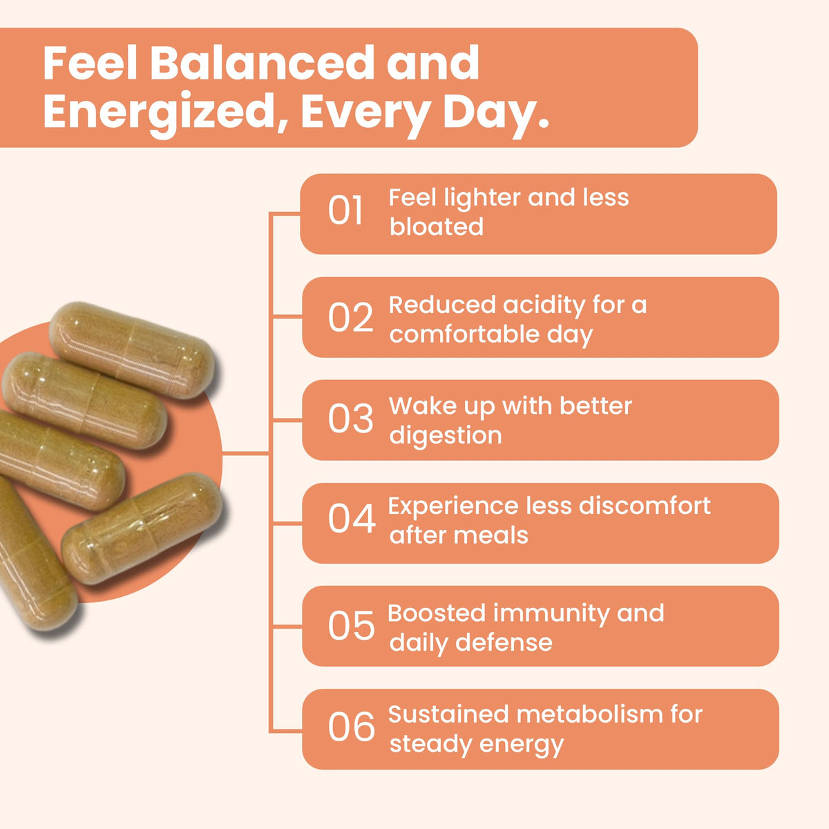 iMeMyself WellGut Daily Herbal Supplement | Traditional Herbs with Minerals & Probiotics 90 Vegan Capsules iMeMyselfBuy Supplements Australia