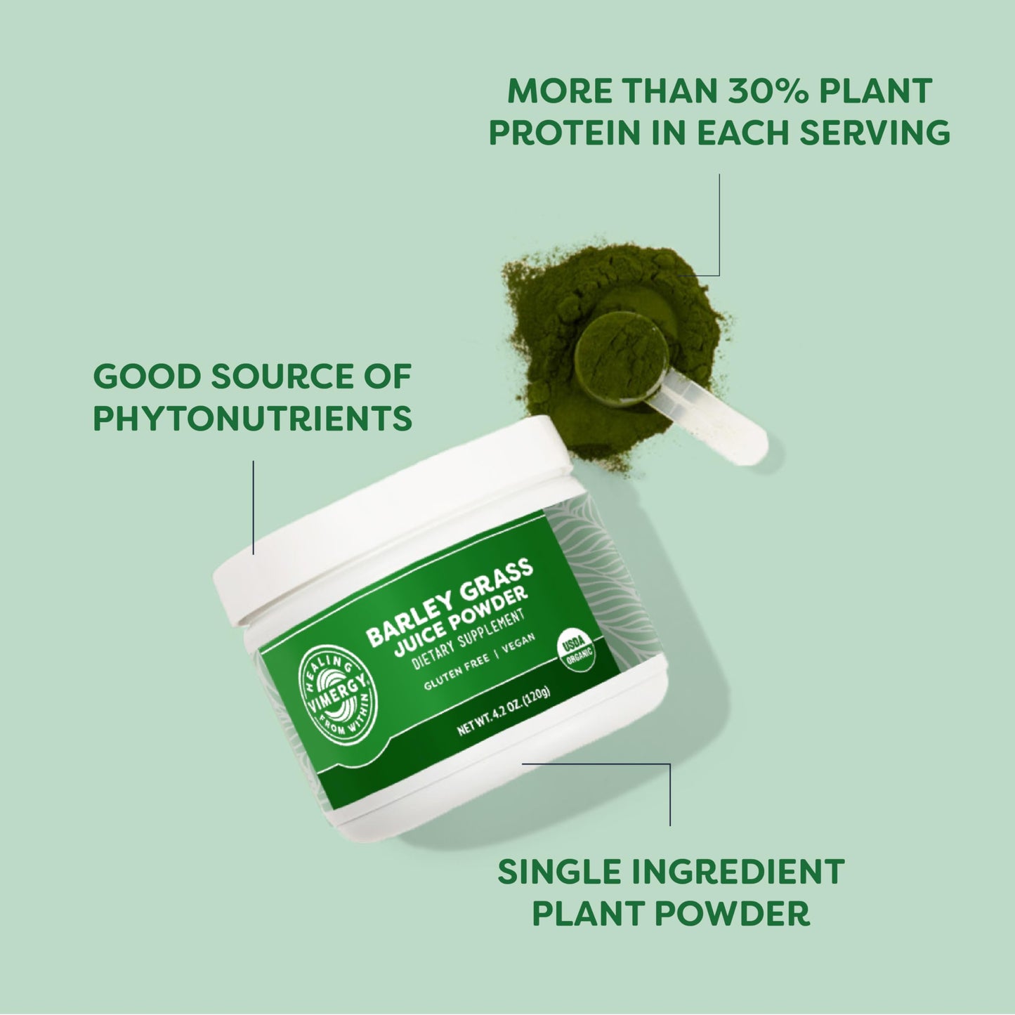 Vimergy Barley Grass Juice Powder Dietary Supplement - 4g per Serving (62 Servings) – Clean Superfood – Promotes Cardiovascular Health* – Organic, Vegan & Gluten-Free – Regular Size 250g