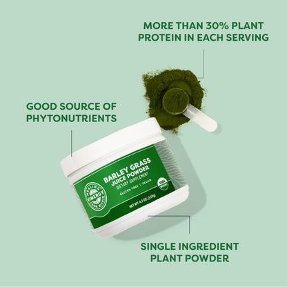 Vimergy Barley Grass Juice Powder Dietary Supplement - 4g per Serving (62 Servings) – Clean Superfood – Promotes Cardiovascular Health* – Organic, Vegan & Gluten-Free – Regular Size 250g