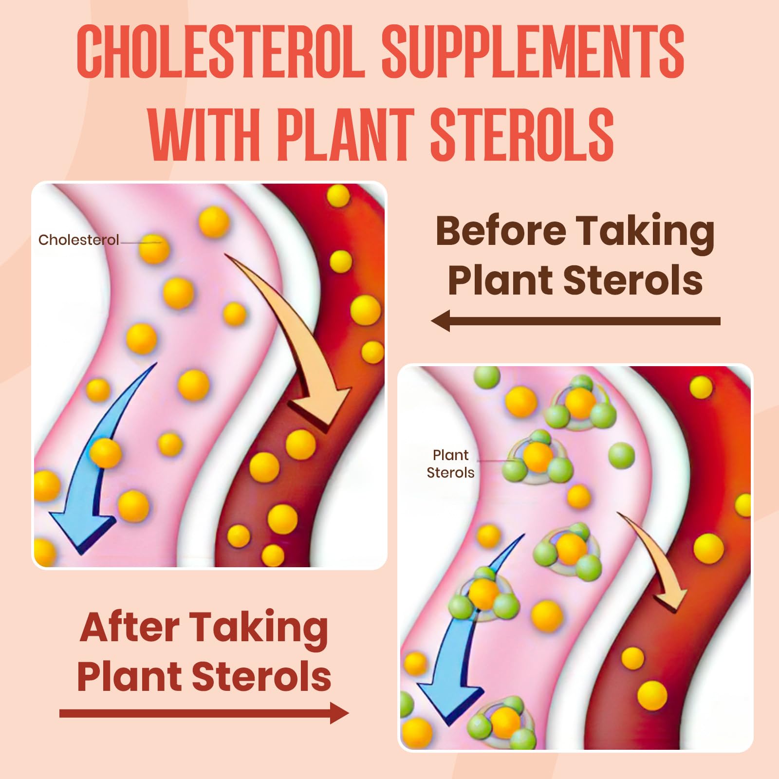 Glorithiventa Cholesterol & Booty Gummies Supplement Bundle - Plant Sterols & Stanols + CurvaBoost BBL Herb Blend & Creatine Monohydrate - Cholesterol Normal Level, Booty, Curves & Energy Glorithiventa buy supplements Au