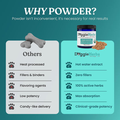 High Potency Immune Support – Critical Care Formula with Turkey Tail, Reishi & TCM Mushrooms + Herbs – Doctor Formulated Powder for Recovery, Vitality & Cellular Health 100g
