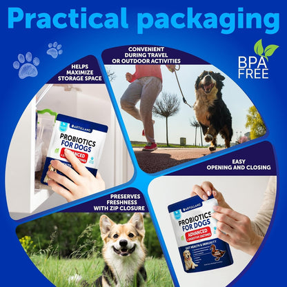Dog Allergy Relief Chews + Probiotics Bundle - Omega 3 for Skin & Coat, Anti-Itch, Hot Spots Treatment, Immune Support - Probiotics & Prebiotics for Gut Health, Yeast Balance