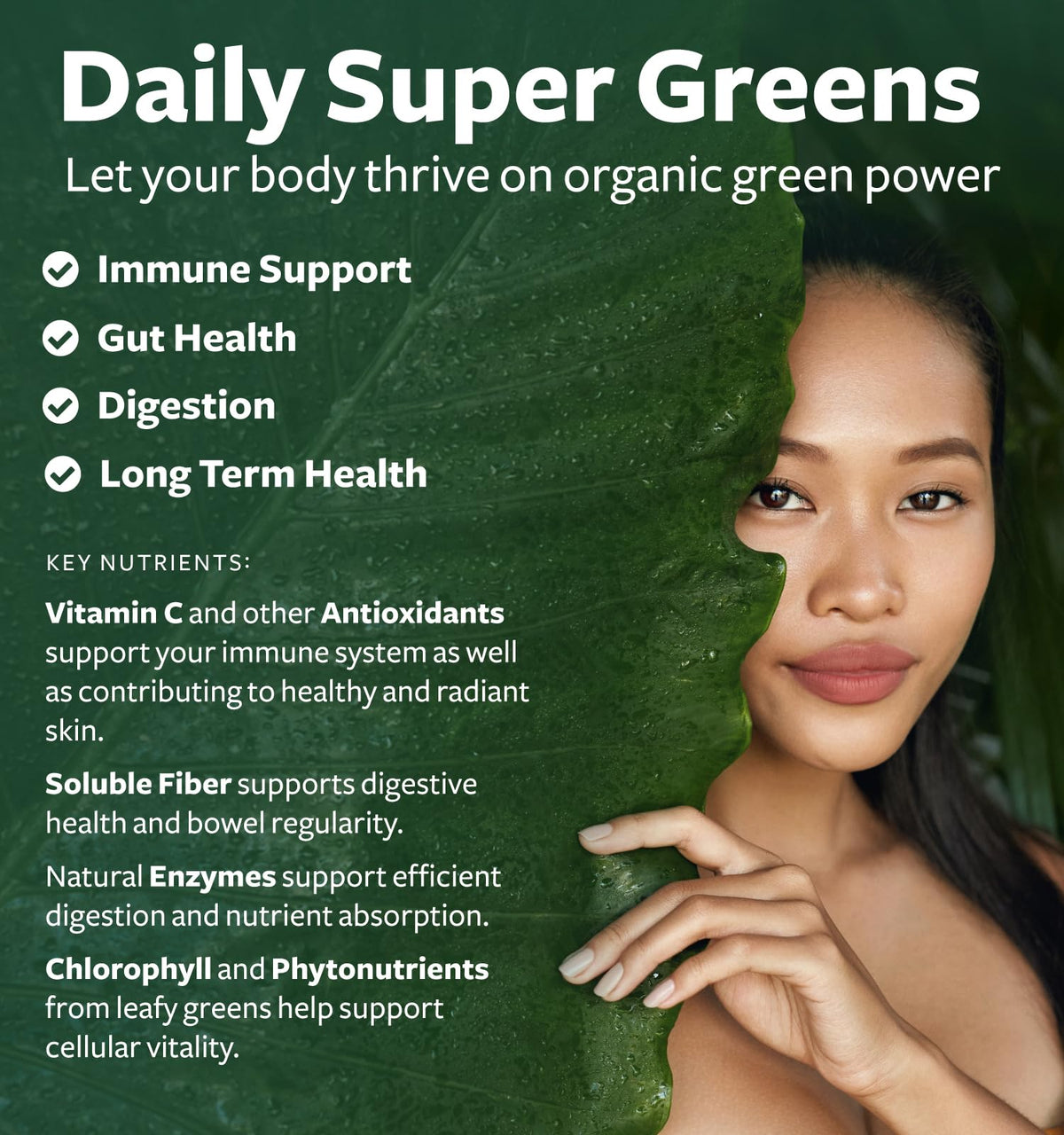 Super Greens & Antioxidants (2-Month Supply) Antioxidant Power Greens Bundle of Organic Super Greens Powder - Complete Superfood (120 Capsules) & Super Antioxidants - Powerful Superfood (120 Capsules) Healths Harmony buy supplements Au