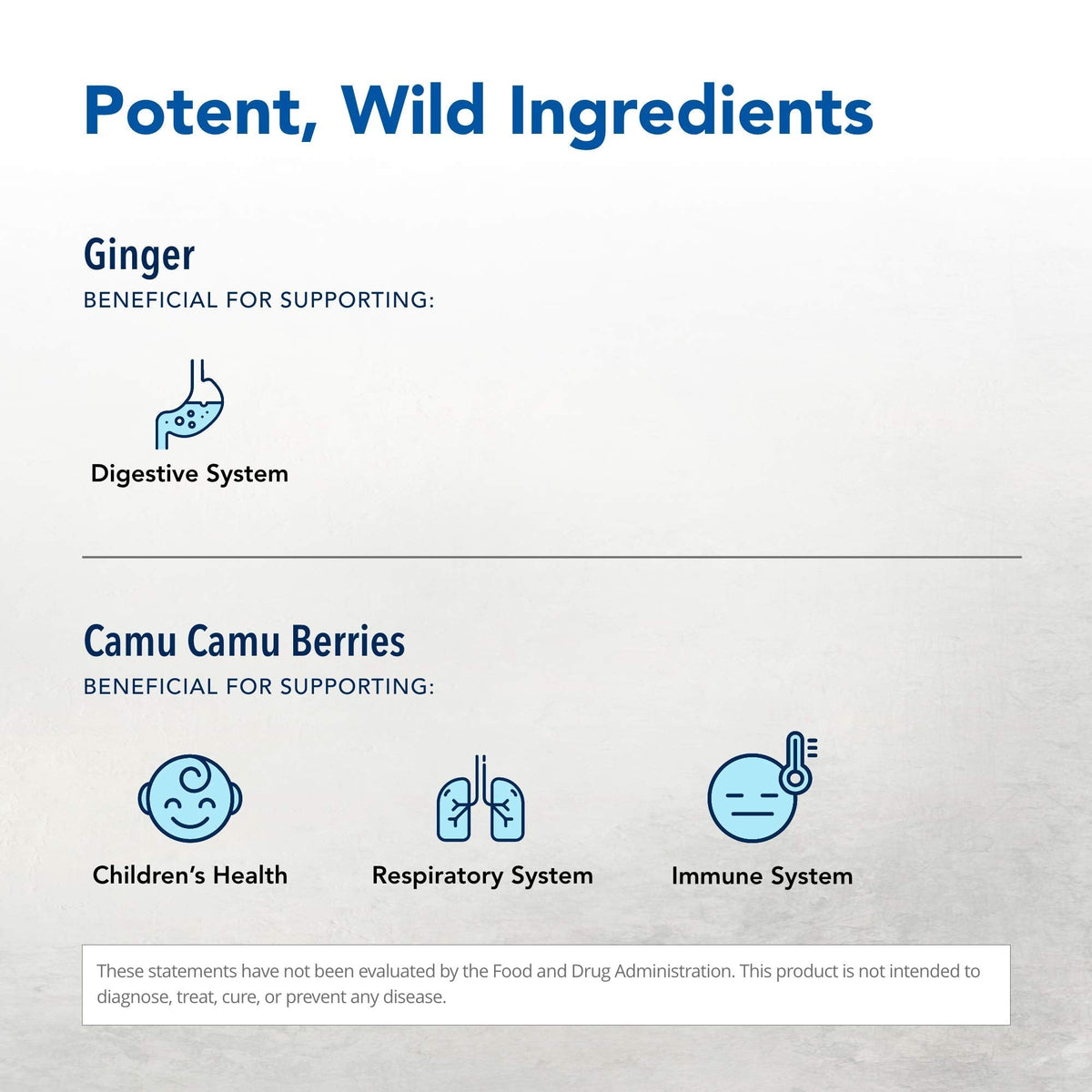 NORTH AMERICAN HERB & SPICE Inflam-eeZ - 90 Capsules - Supports Healthy Immune & Inflammatory Response - Ginger Root, Camu Camu Berries, Bromelain & Papain Plus - Non-GMO - 45 Total Servings NORTH AMERICAN HERB & SPICE buy supplements Au