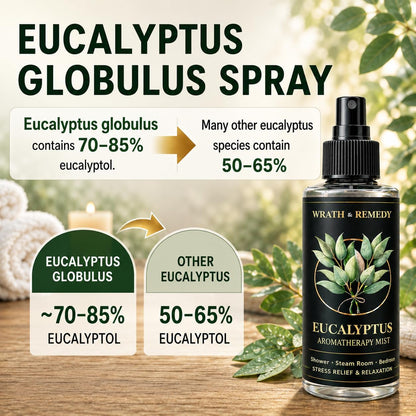 Eucalyptus Shower Spray Aromatherapy — USDA Organic (4 oz, 700+ Sprays) | 100% Pure Eucalyptus Essential Oil Spray Mist for Spa Shower, Steam, Sauna & Linen Bedsheet – Premium & Travel Size (US-Made)