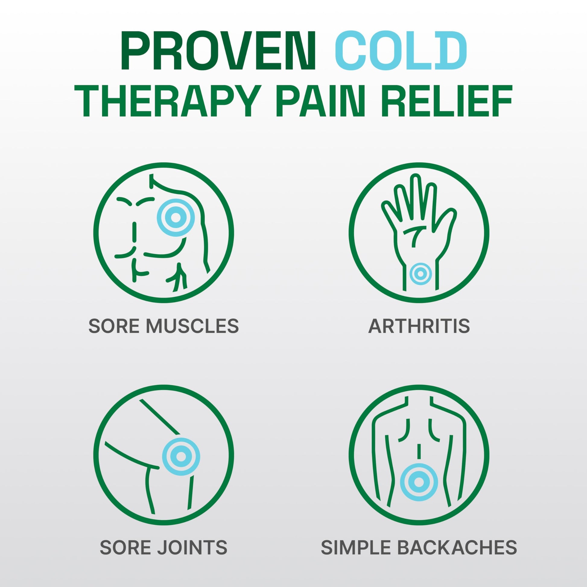 Biofreeze Professional Spray Pain Relief for Knee, Neck, Hip, Joint, Shoulder, & Simple Backache, Arthritis Pain Reliever, Sore Muscle Relief, Colorless Menthol Spray 4 Fl Oz (Pack of 2) BiofreezeBuy Supplements Australia
