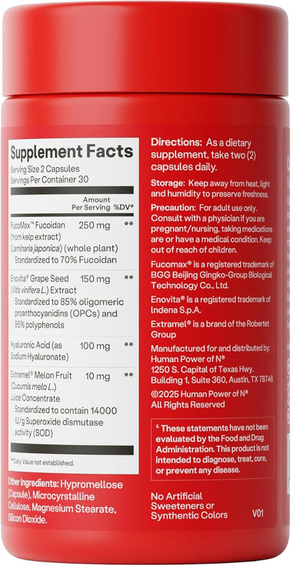 HumanN Daily Wellness, Grape Seed Extract Capsules & Hyaluronic Acid Circulation Supplements, Plant-Based Non-GMO, 60 Capsules