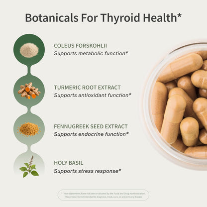 Snap Supplements Thyroid Health, Selenium, Zinc, L-Tyrosine, 60 Capsules | Thyroid Support Supplement for Women & Men, Botanicals for Metabolism, Energy & Endocrine Balance, Iodine-Free, Vegan