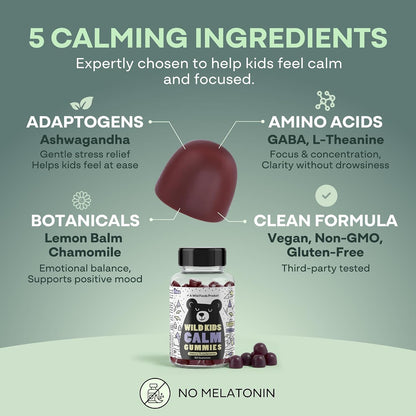 Wild Foods Kids Calm Gummies - Ashwagandha Gummies for Kids w/GABA, L-Theanine, Lemon Balm & Charmomile - Support Natural Relaxation, Stress Relief & Sleep, for Children 4+, Berry Flavor, 60 Count
