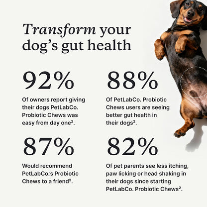 PetLab Co. Probiotic Chews for Dogs, 30 Soft Chews, 3-Pack | 8-strain probiotic blend with prebiotics to support digestive health, skin and seasonal allergy support