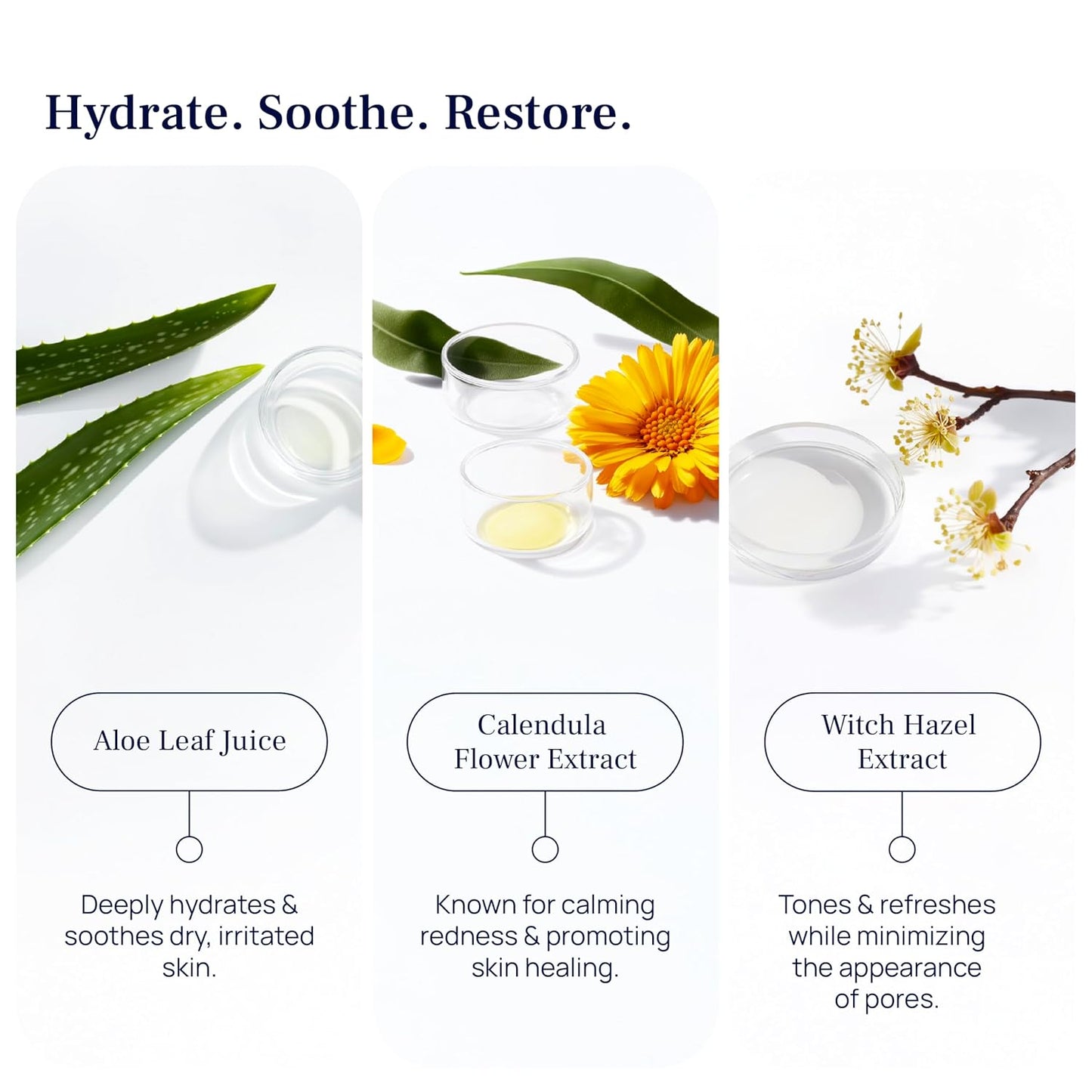 Cellular Hydration Serum - Hyaluronic Acid Alternative Face Skin Serum | Hydrating Serum For Women & Men - Witch Hazel, Glycerin, Aloe, Calendula, Turkey Tail, Tremella Mushroom & More - 1 Fl Oz