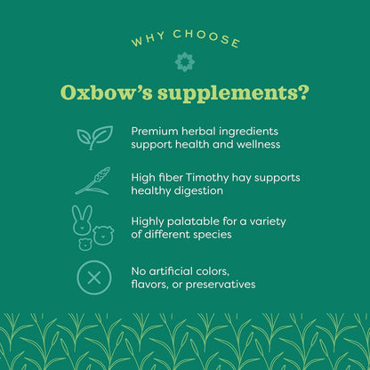 Oxbow Natural Science Joint Supplement for Rabbits & Guinea Pigs, 4.2 oz | Healthy Cat Treats, Natural Feline Snacks, Protein Rich, Crunchy Biscuits, Indoor Cats, Kitten Rewards, Made in USA