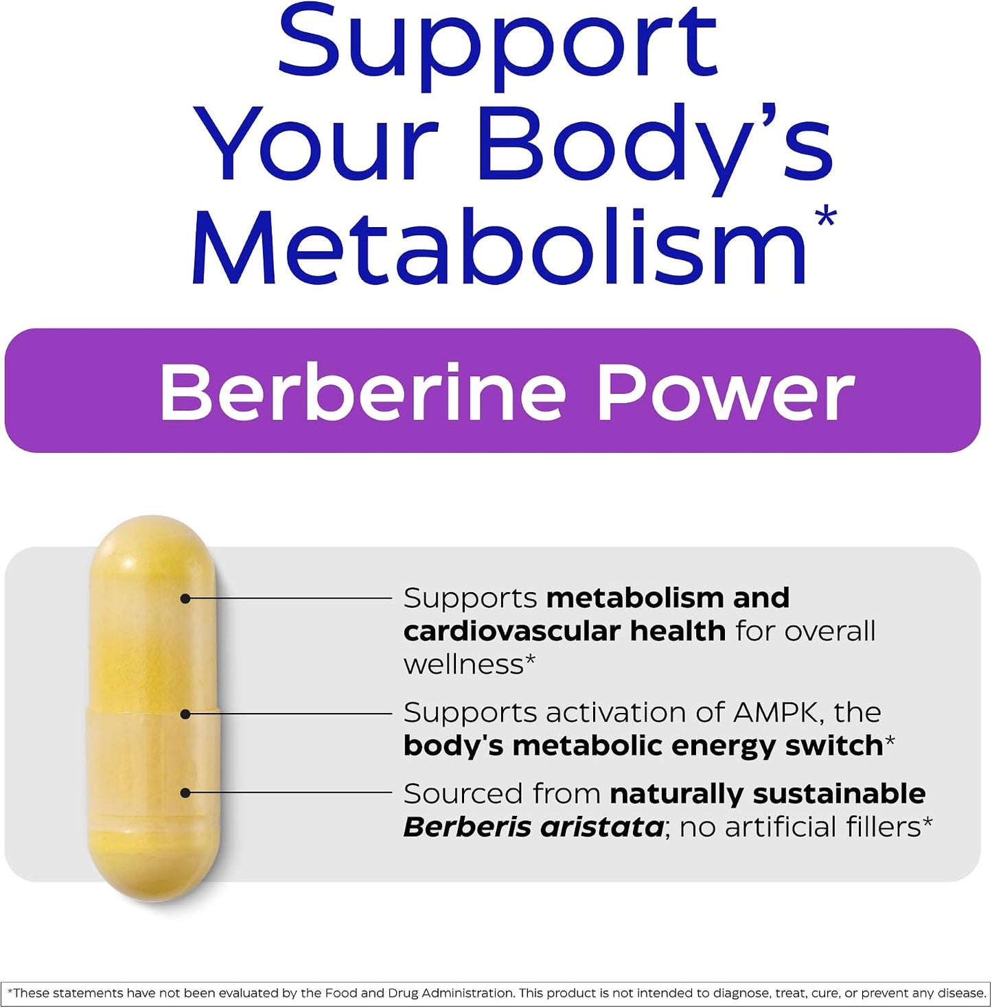 Enzymedica Berberine HCl Supplement 510 mg - Berberine Capsules for Men & Women, Natural Metabolic Health Support, Vegan, Gluten Free, Non-GMO - 120 Targeted Release Caps