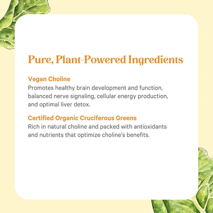 PURE SYNERGY Choline Complex | Vegan Choline Supplement Made with Organic Whole Foods | Non-GMO Bioavailable Complex | for Pregnancy, Brain, and Liver Health (60 Tablets)